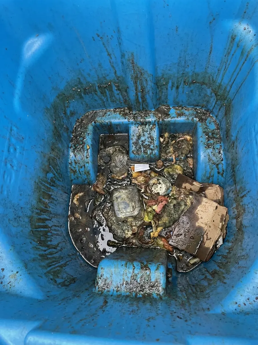 Filthy blue bin interior before cleaning