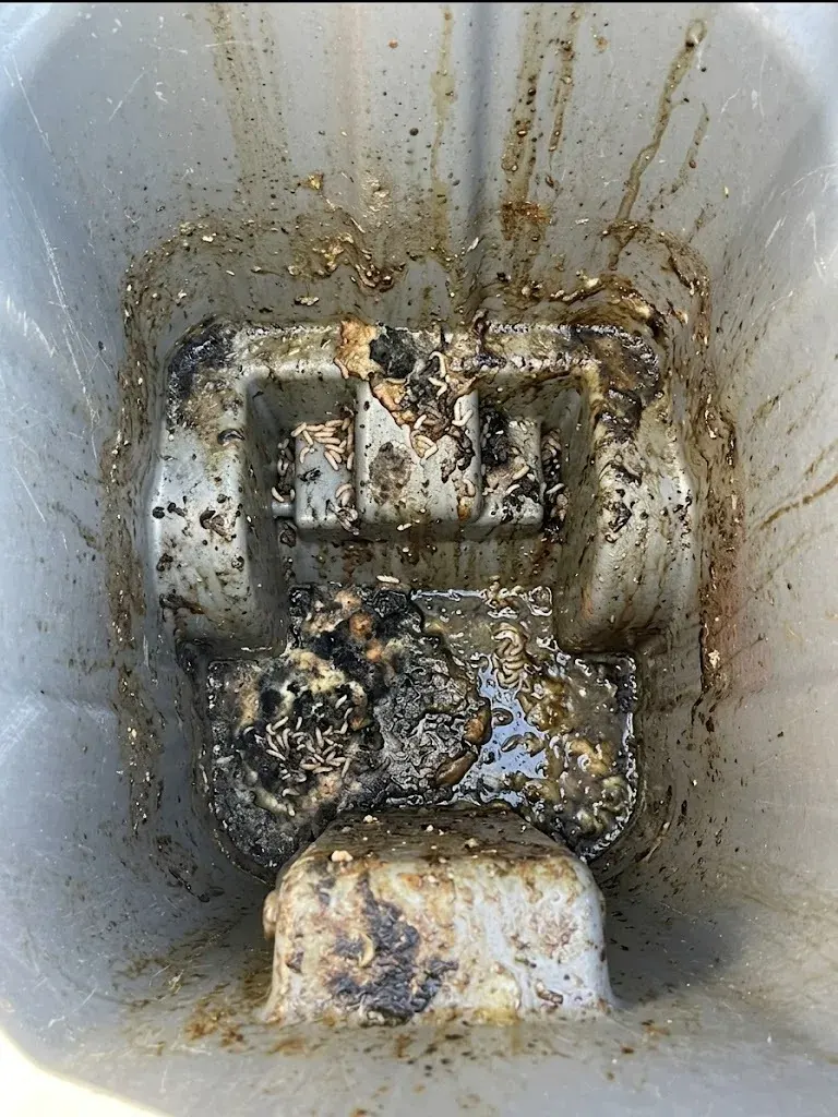 Maggot-filled grey bin before cleaning